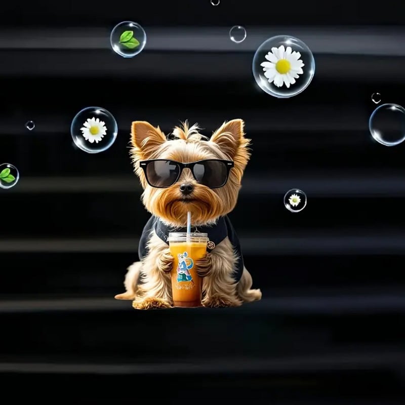 🥤Chill Sipper Yorkie