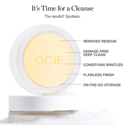 The Brush Cleanser