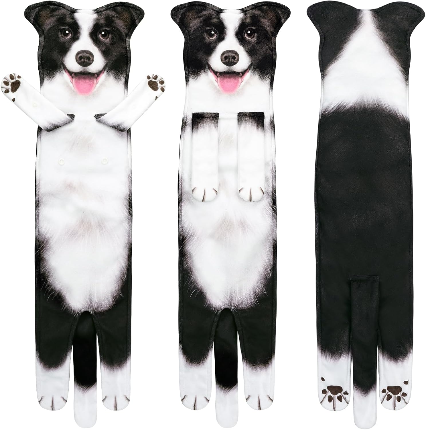 Bordercollie Puppy