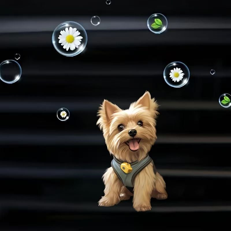 🍓Playtime Yorkie