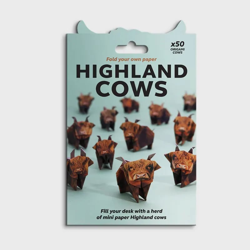 🐂Highland Cows