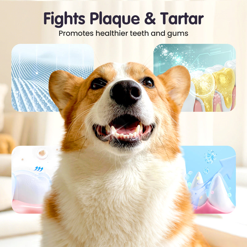 🔥2026 New Arrivals: 50% Off for a Limited Time!🔥Teeth Cleaning Spray for Pets